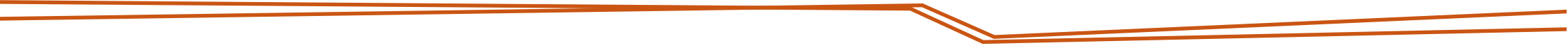 Orange lines Separator